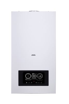 Marca OEM Fabrica personalizada Calentador de agua de gas para uso doméstico